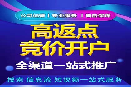 解析某某SEM服务公司的广告投放策略与效果评估